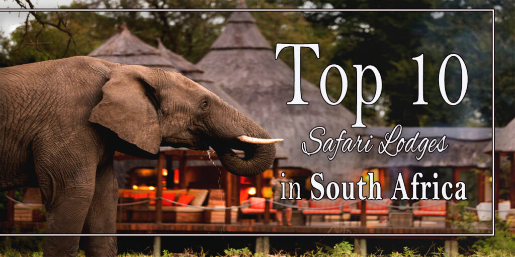 Top 10 Safari Lodges in South Africa