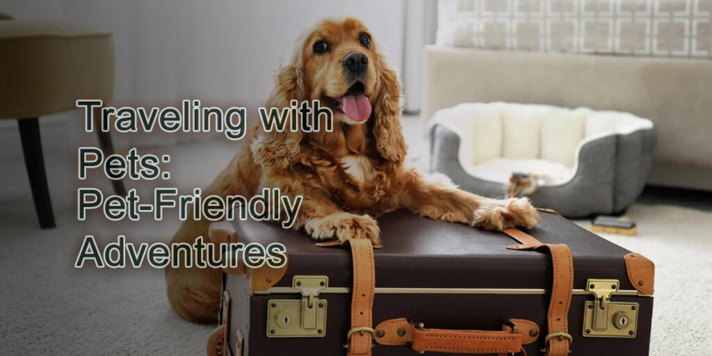 Traveling with Pets: Tips for Pet-Friendly Adventures