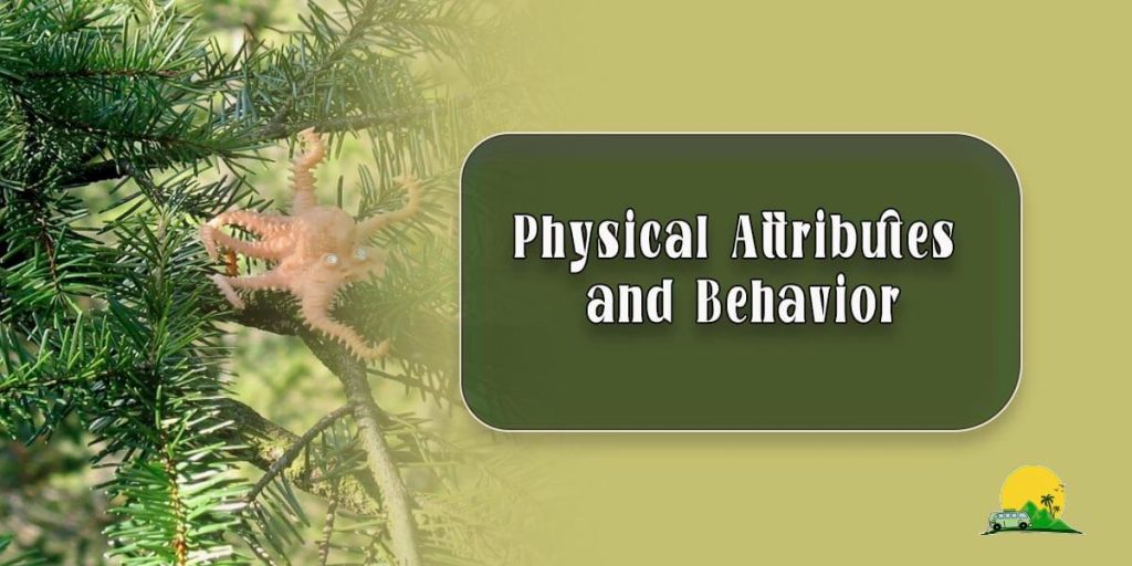 Physical Attributes and Behavior